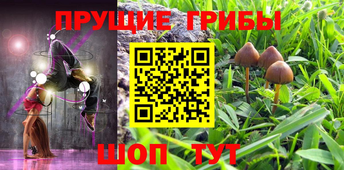 Псилоцибиновые грибы MAGIC MUSHROOMS  Вход с VPN  Нарткала 